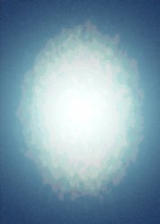 meduse
