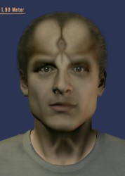 miradorn
