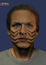 zakdorn
